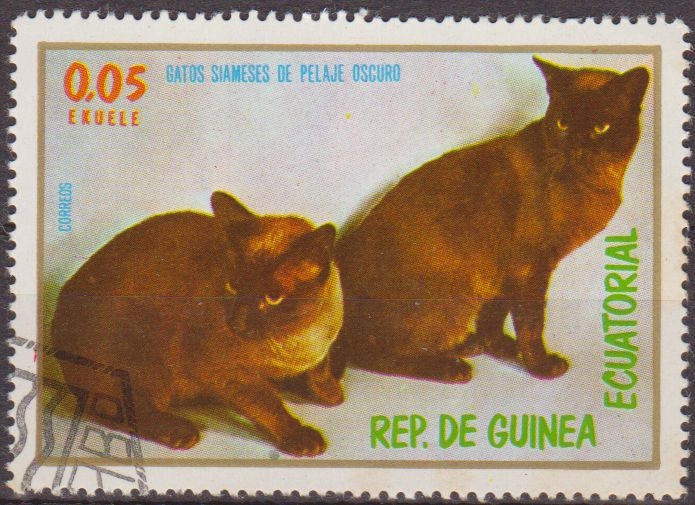 z vendido Guinea Ecuatorial 1976 Sello * Fauna Animales 01 Gatos Siameses de Pelaje Oscuro 0,05ek Guinée Equatoriale Preobliteré Matasello de favor Preobliterado 